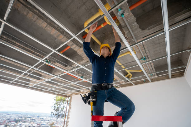 Best Leak Detection Services  in Norwalk, IA