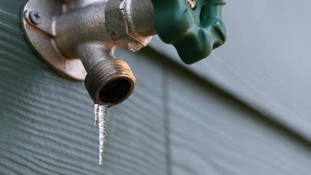 Best Sewer Line Repair  in Norwalk, IA